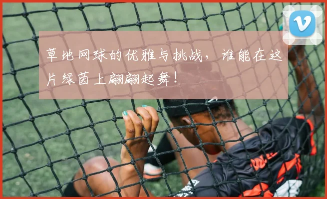 草地网球的优雅与挑战,谁能在这片绿茵上翩翩起舞!