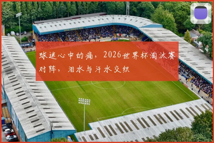 球迷心中的痛,2026世界杯淘汰赛对阵,泪水与汗水交织