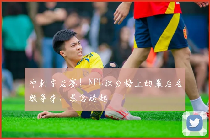 冲刺季后赛!NFL积分榜上的最后名额争夺,悬念迭起